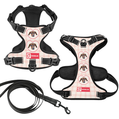 Juno -  Personalized No-Pull Dachshund Dog Harness