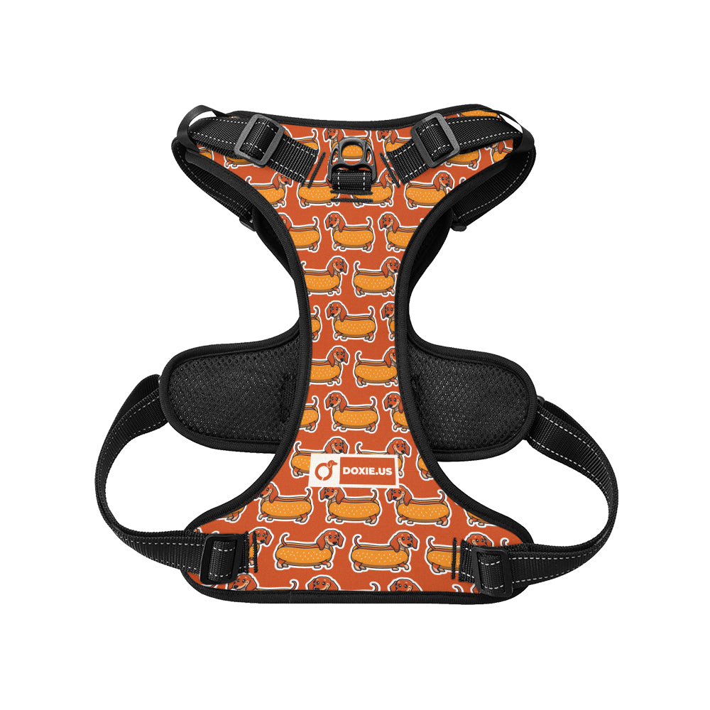 Monty -  No-Pull Dachshund Dog Harness