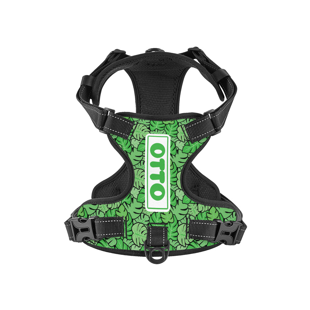 Heinz - Personalized No-Pull Dachshund Dog Harness