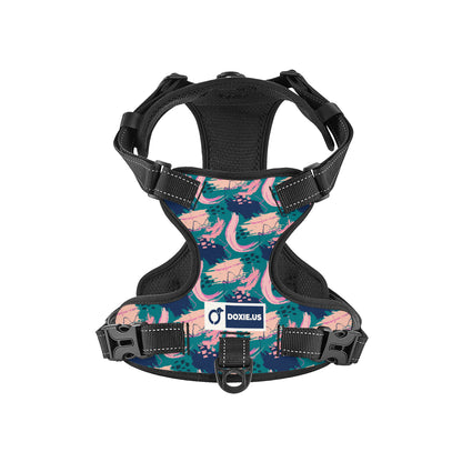 Johann -  No-Pull Dachshund Dog Harness