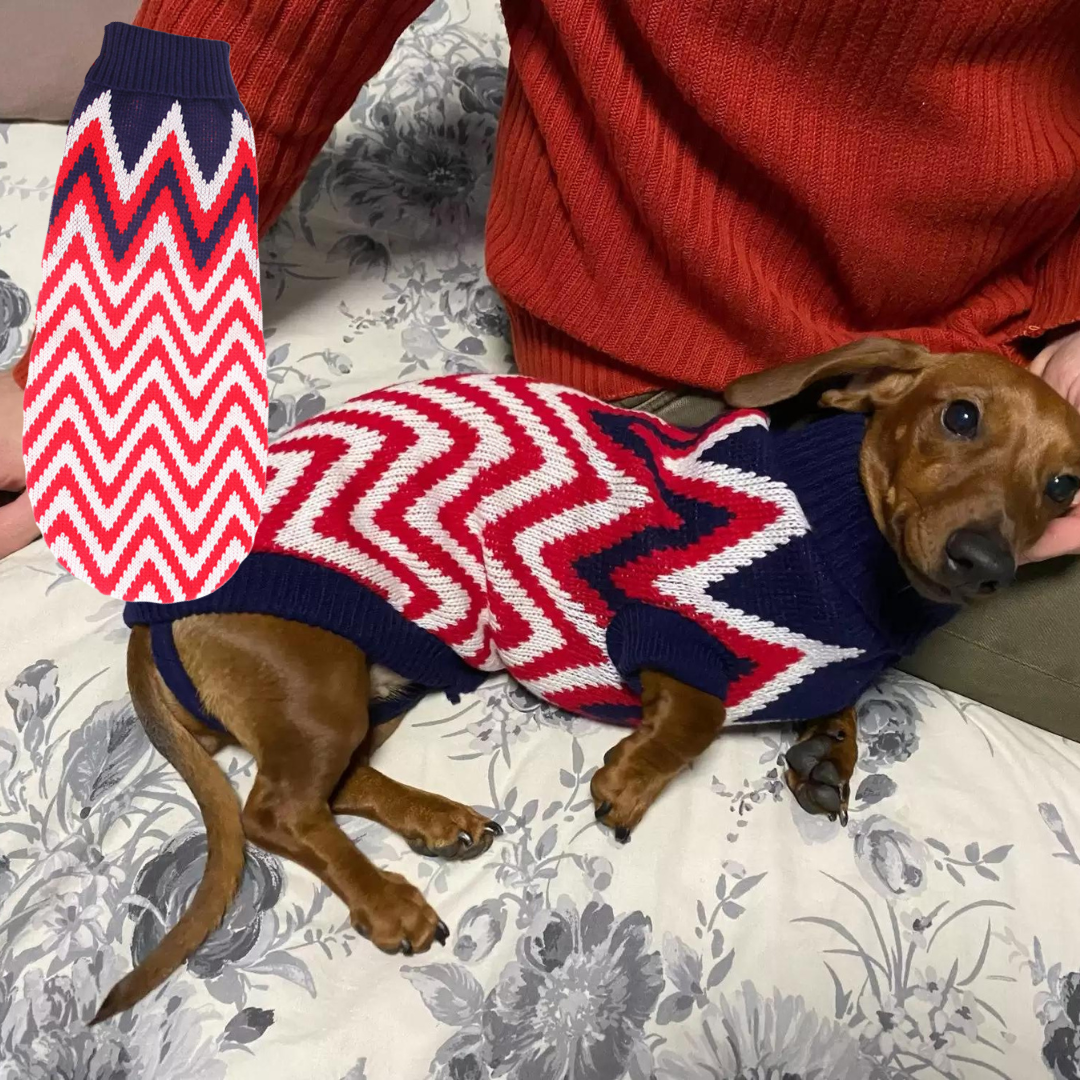 Doxie Wool Sweater Christmas Costume