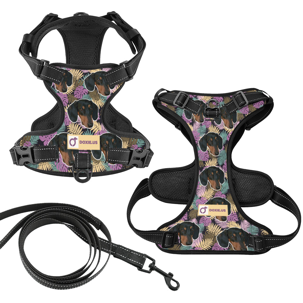 Earl -  Personalized No-Pull Dachshund Dog Harness