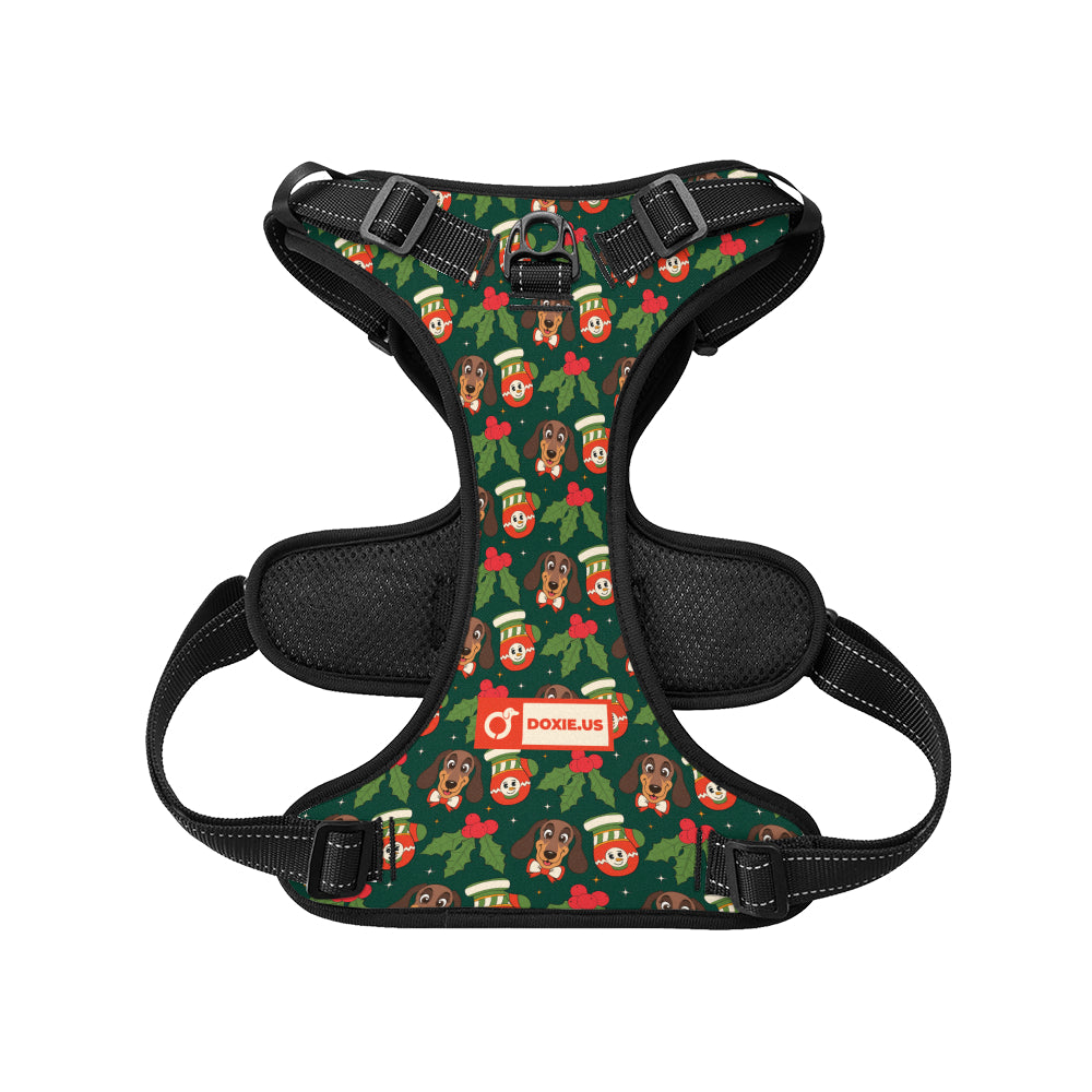 Bailey -  No-Pull Dachshund Dog Harness