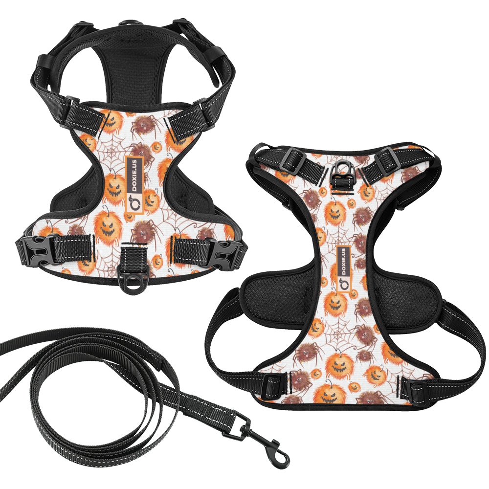 Chloe -  No-Pull Dachshund Dog Harness