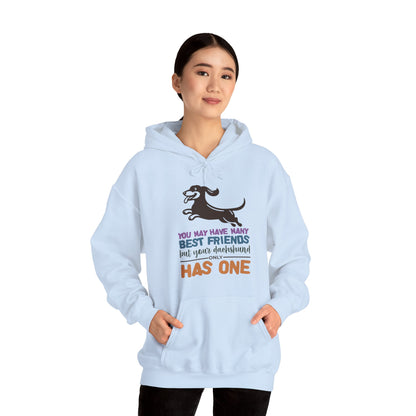 Steve - Unisex Hoodie