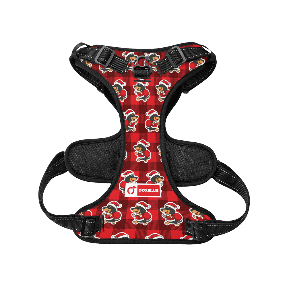 Tom -  No-Pull Dachshund Dog Harness