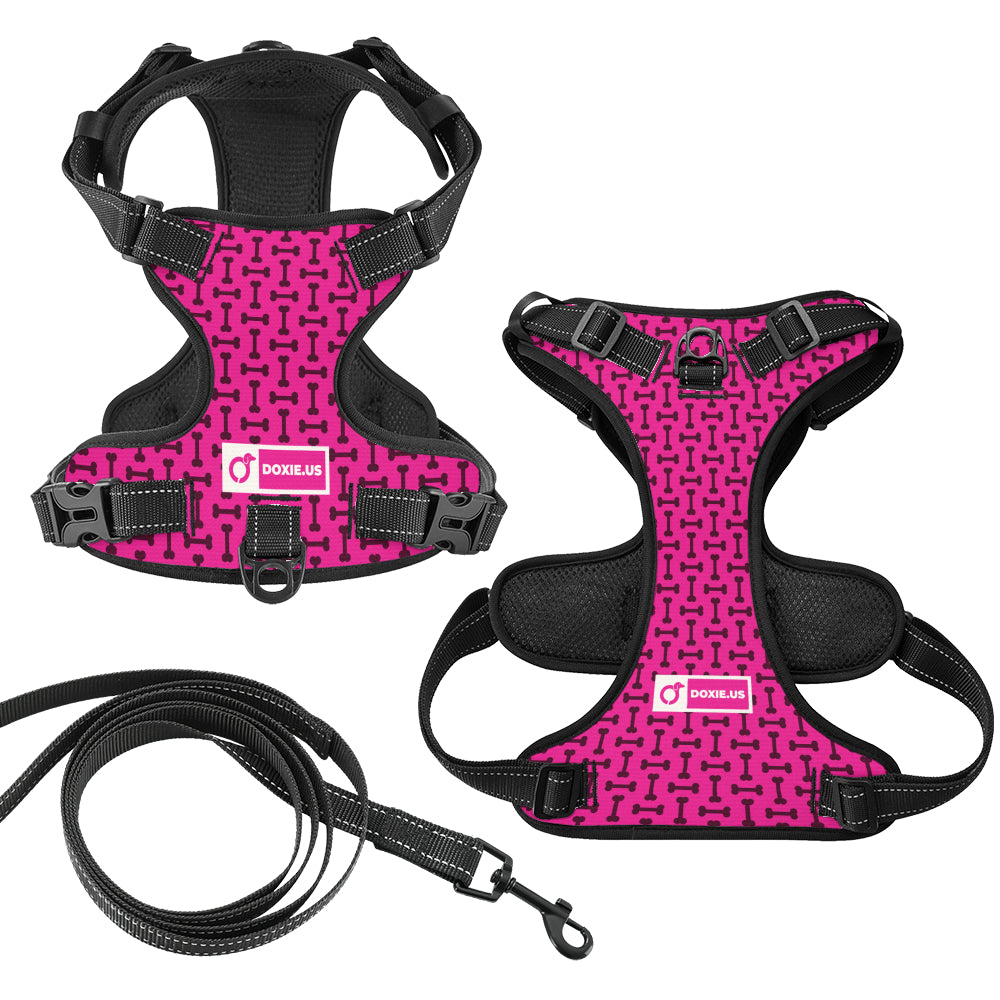 Waffles -  No-Pull Dachshund Dog Harness