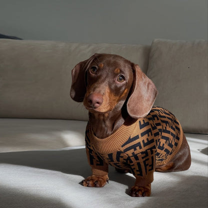 Luxury Dachshund Sweater