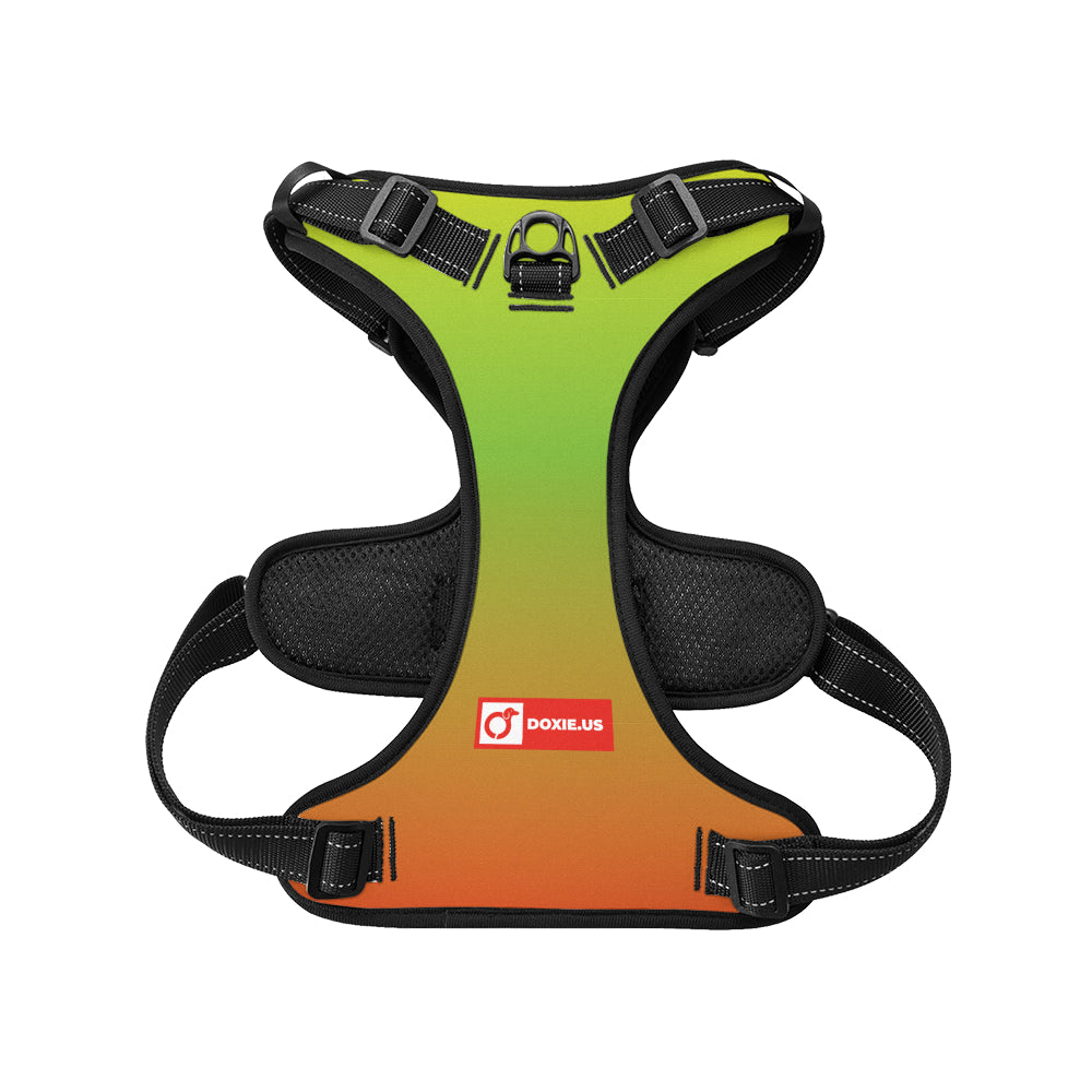 Oskar -  No-Pull Dachshund Dog Harness