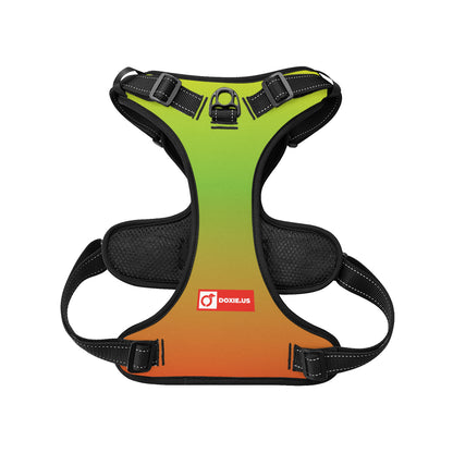 Oskar -  No-Pull Dachshund Dog Harness