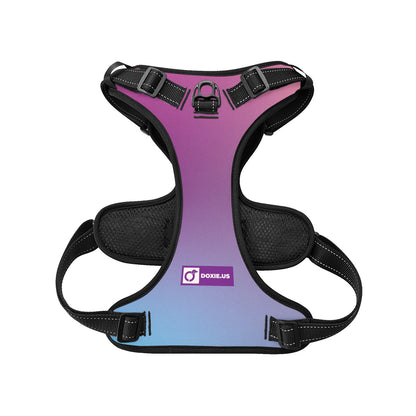 Simone -  No-Pull Dachshund Dog Harness