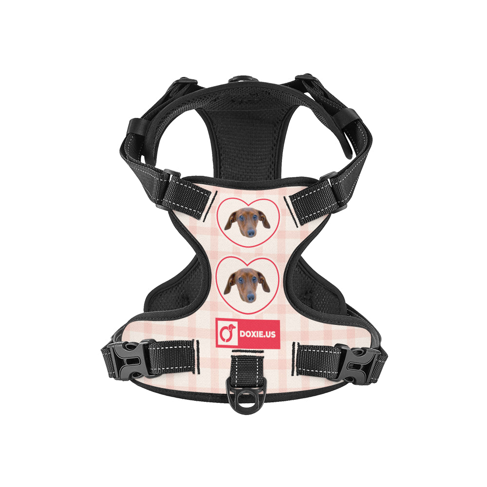 Juno -  Personalized No-Pull Dachshund Dog Harness