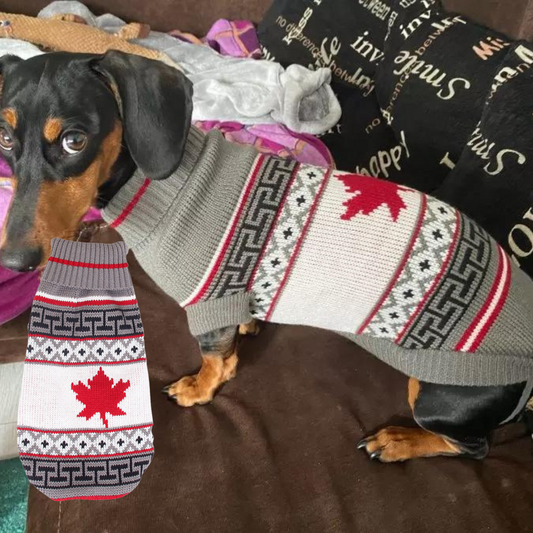 Adorable Dachshund Wool Sweater Christmas Costume