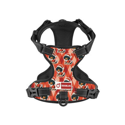 Jack -  No-Pull Dachshund Dog Harness