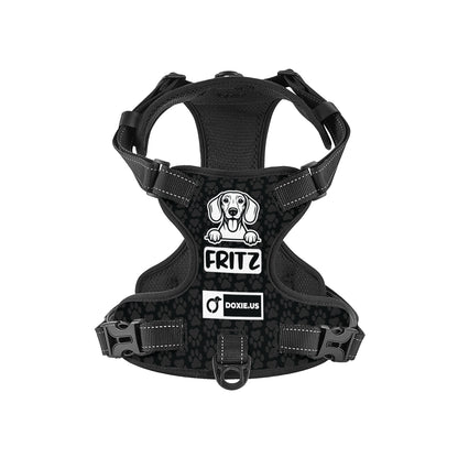 Hans -  Personalized No-Pull Dachshund Dog Harness