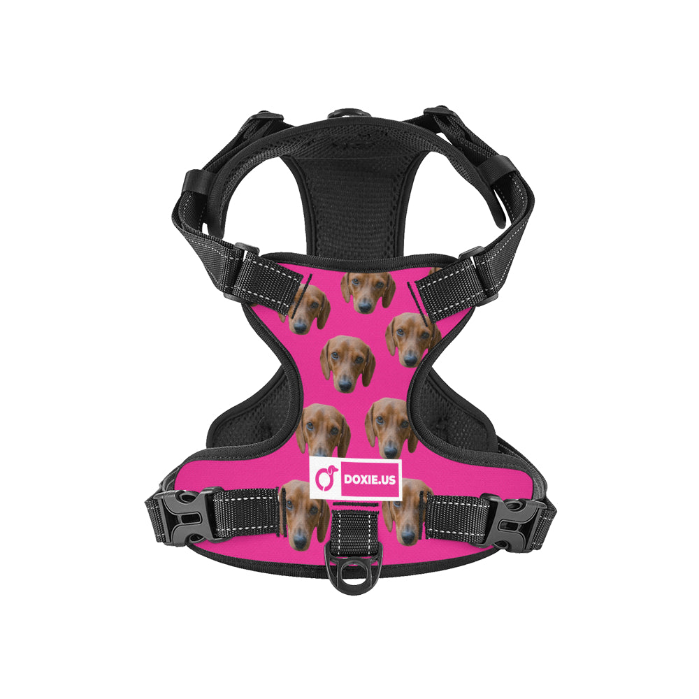 Gunner -  Personalized No-Pull Dachshund Dog Harness