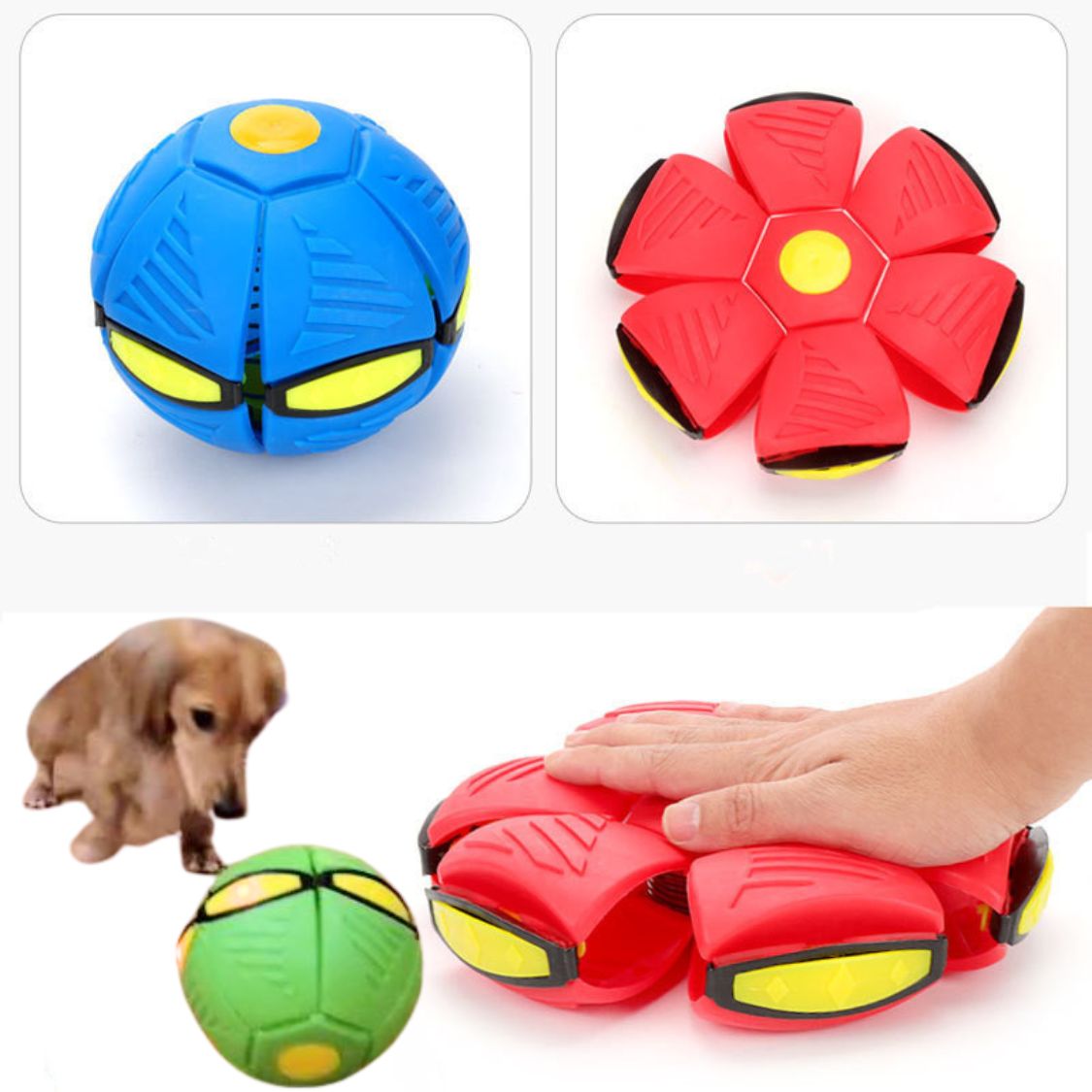 DachLite - Dachshund Toy Ball with LED Light