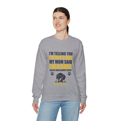 Custom Sweatshirt  with dachshund Name  -  Unisex Sweatshirt