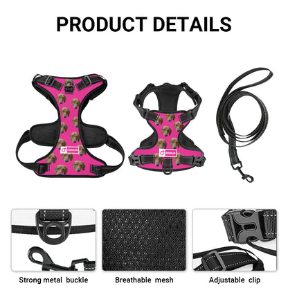 Gunner -  Personalized No-Pull Dachshund Dog Harness