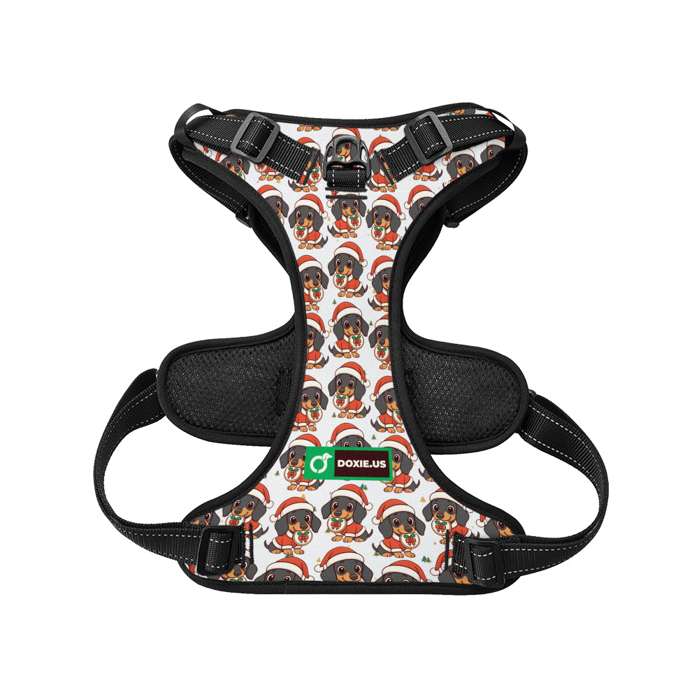 Kevin -  No-Pull Dachshund Dog Harness