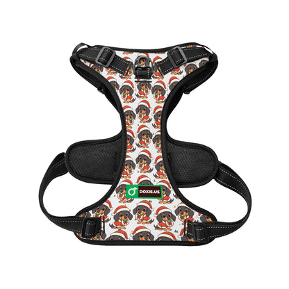 Kevin -  No-Pull Dachshund Dog Harness