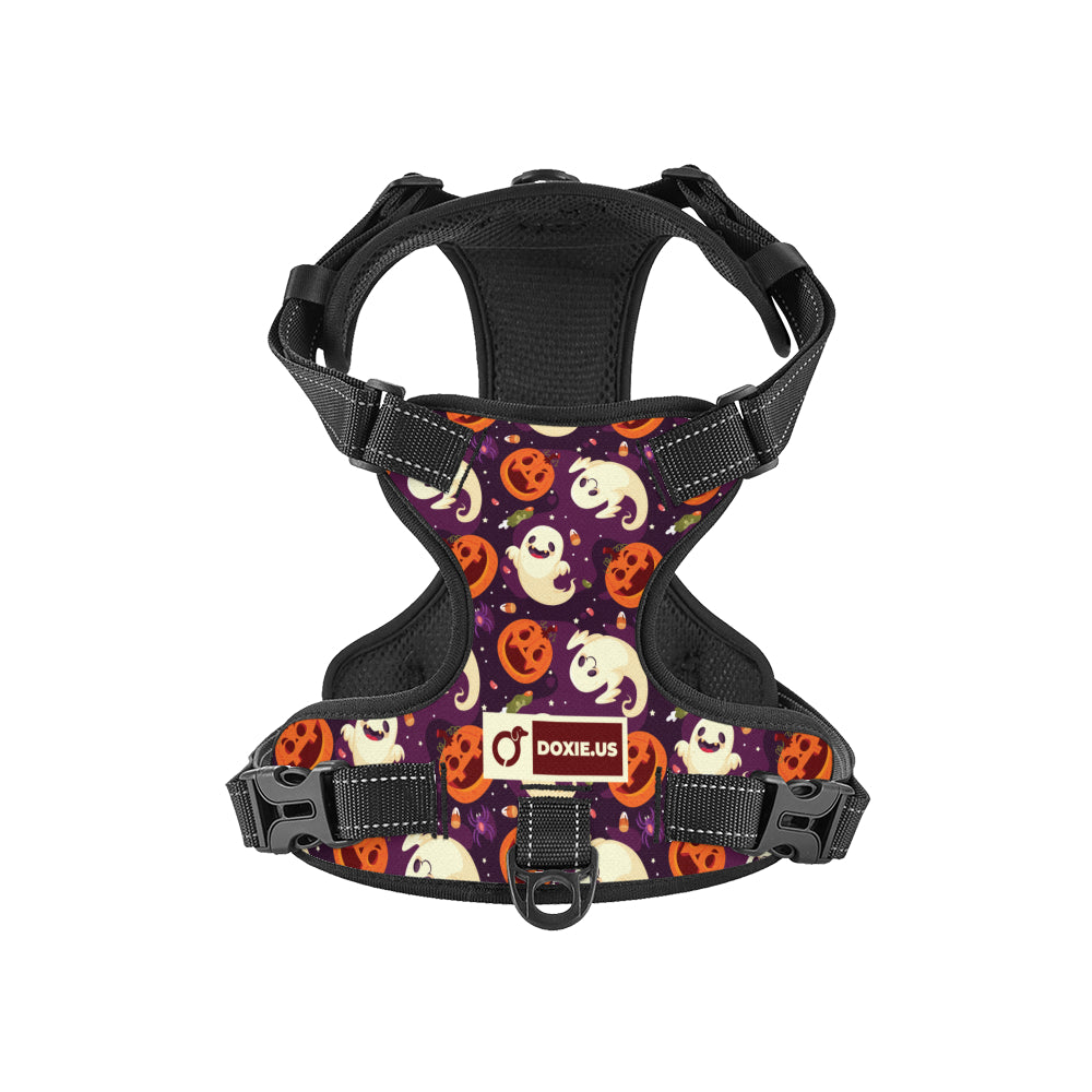 Rosie -  No-Pull Dachshund Dog Harness