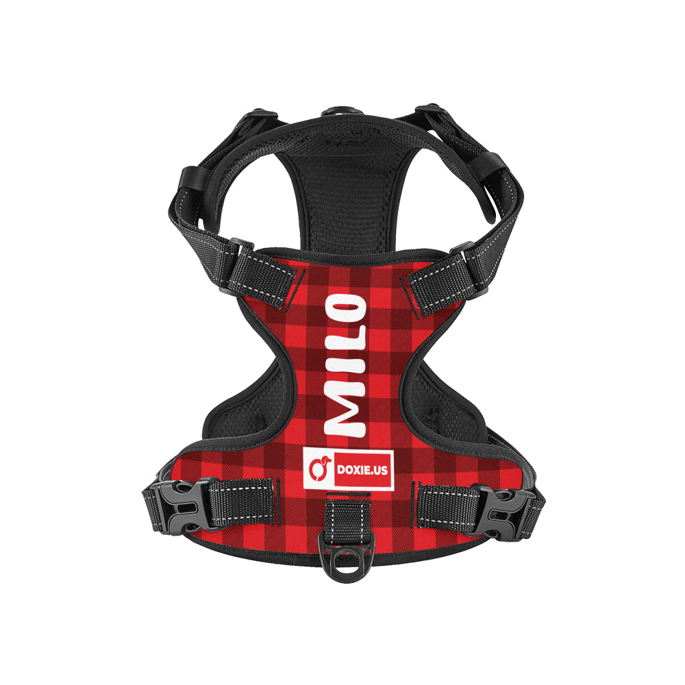 Lyra -  Personalized No-Pull Dachshund Dog Harness