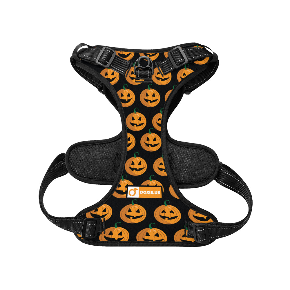 Stella -  No-Pull Dachshund Dog Harness