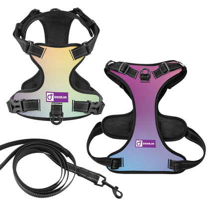 Simone -  No-Pull Dachshund Dog Harness