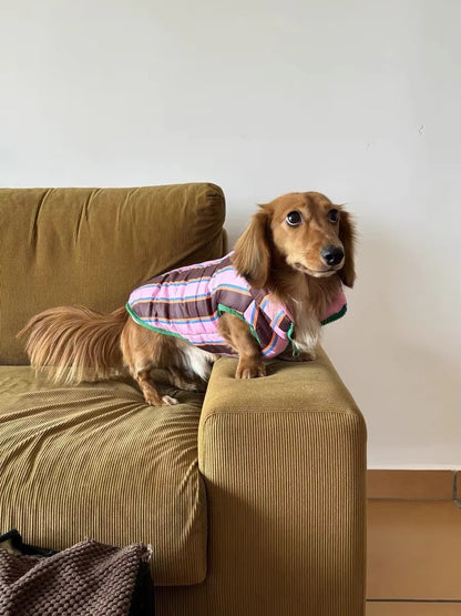 Dachshund Winter Jacket – Warm Cotton Rainbow Stripe Jacket