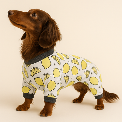 Dachshund pajama jumpsuit, view 4