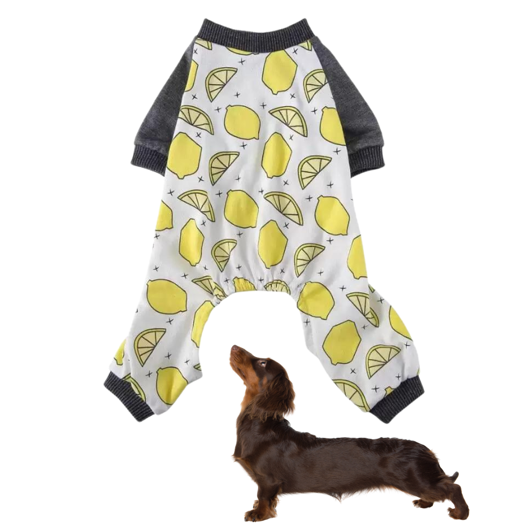 Adorable-Doxie-Pajamas-Jumpsuit-www.doxie.us