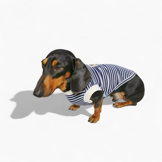 AhoyPup-Dachshund-Sailor-Vest.jpg
