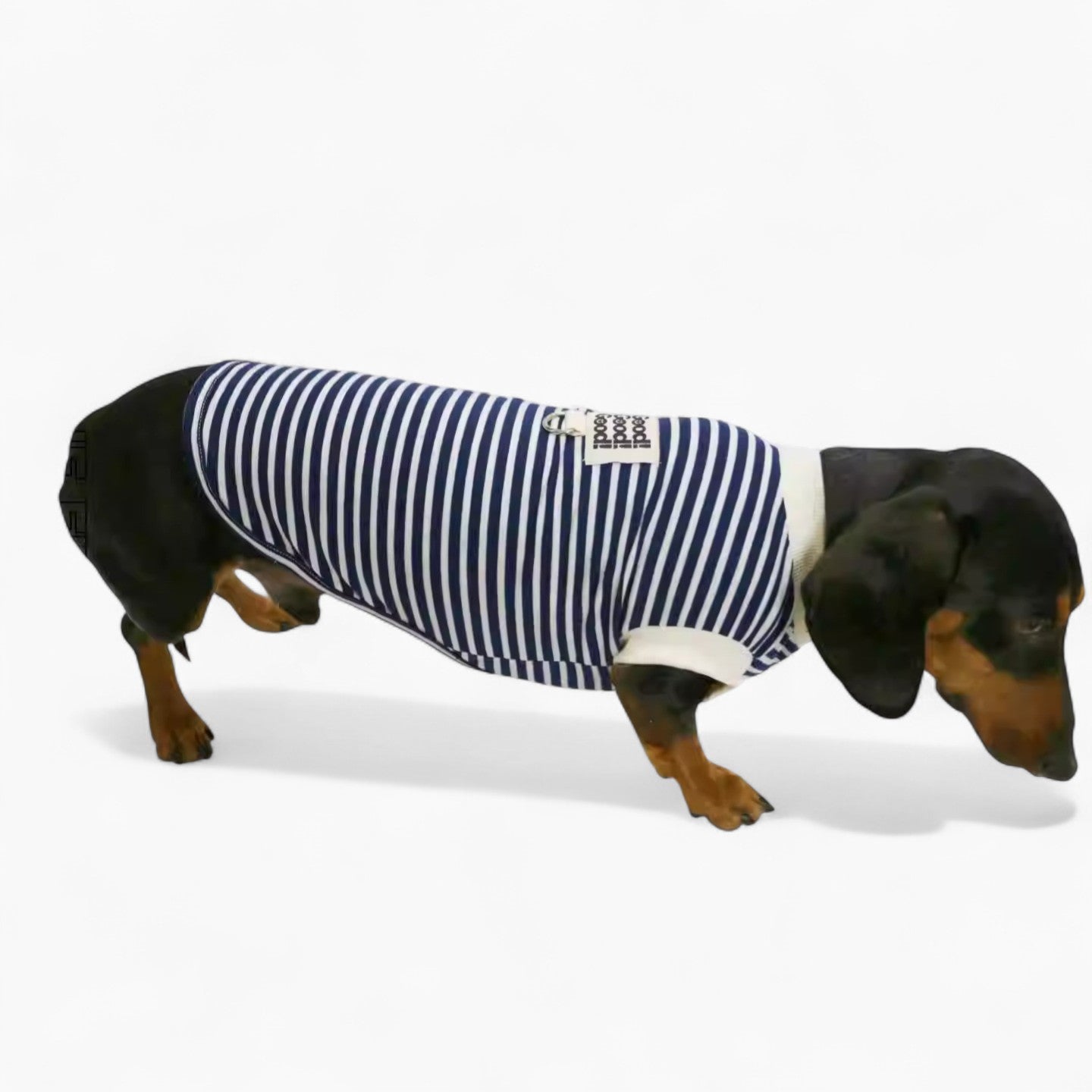 AhoyPup-Dachshund-Sailor-Vest.jpg