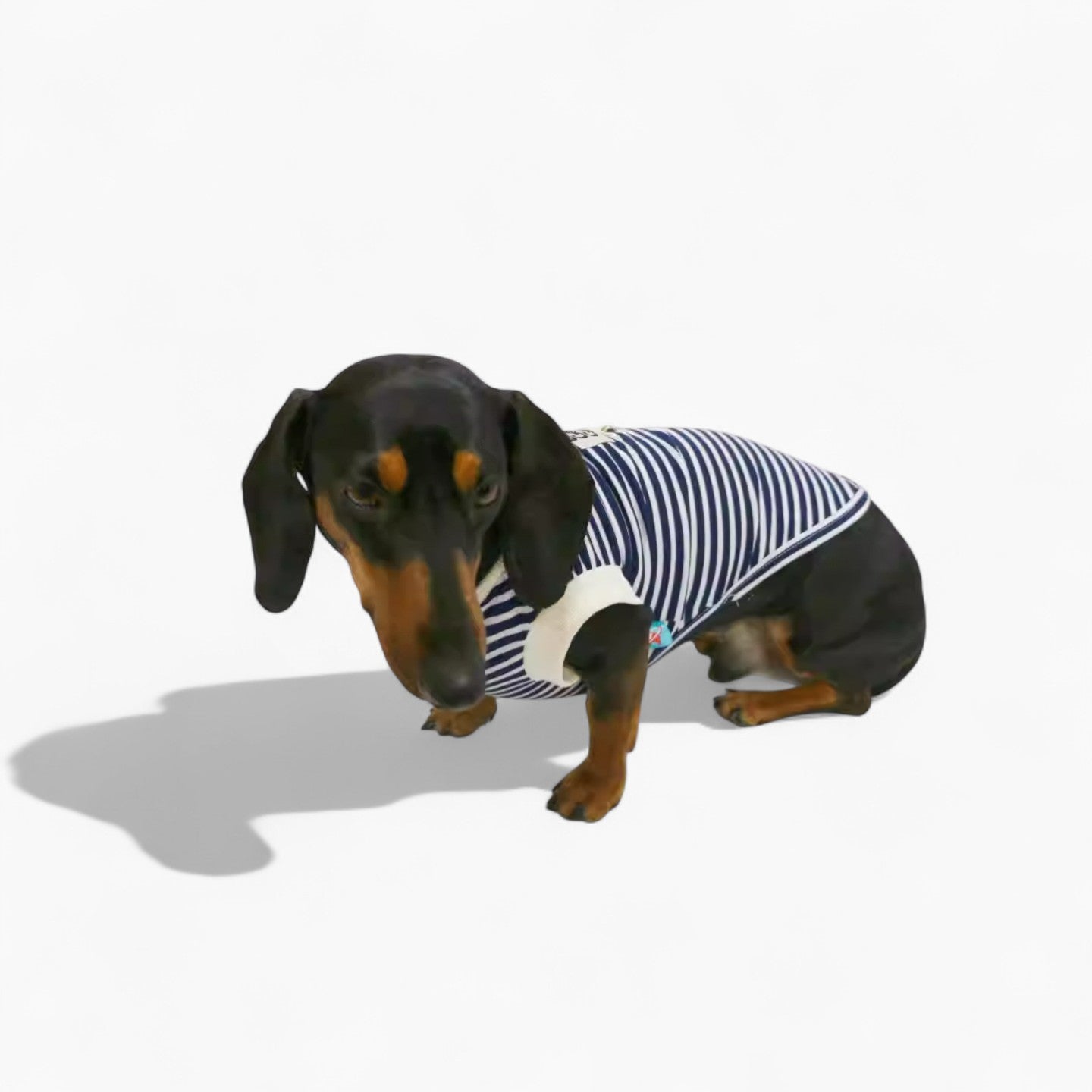 AhoyPup-Dachshund-Sailor-Vest.jpg