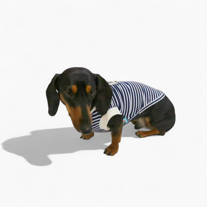 AhoyPup-Dachshund-Sailor-Vest.jpg