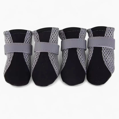 AirPaws-Dachshund-Reflective-Shoes.jpg