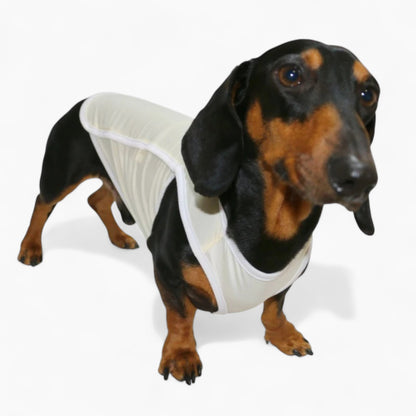Airpawz-Dachshund-Summer-Vest.jpg