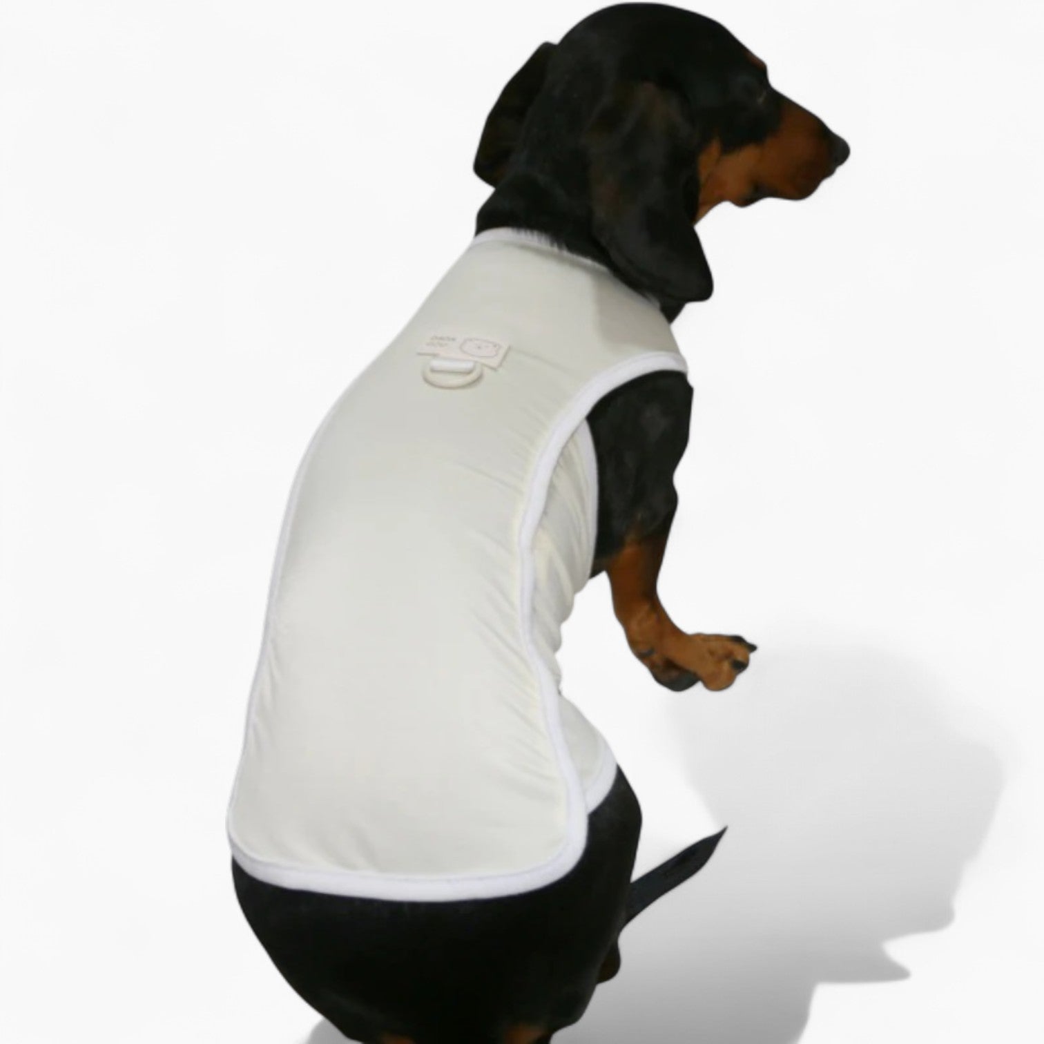 Airpawz-Dachshund-Summer-Vest.jpg