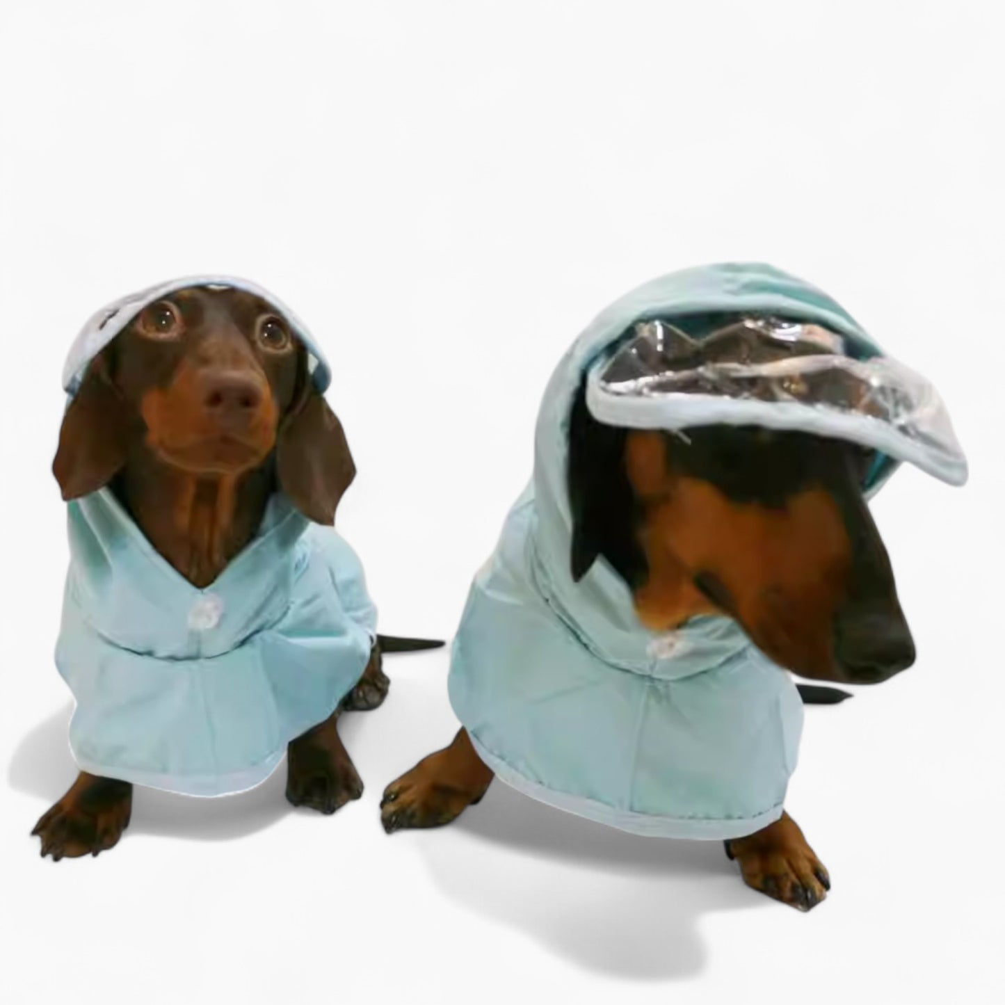 AquaDox-Dachshund-Hooded-Raincoat.jpg