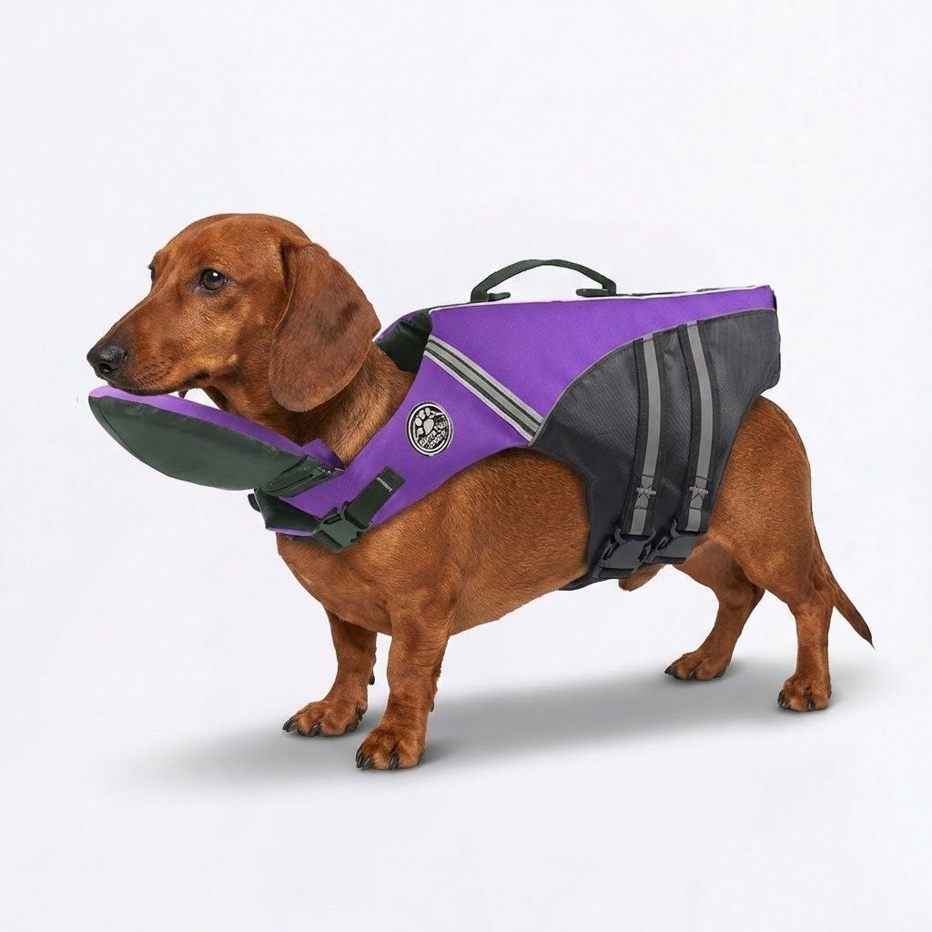 AquaGuard-Dachshund-Life-Jacket.jpg