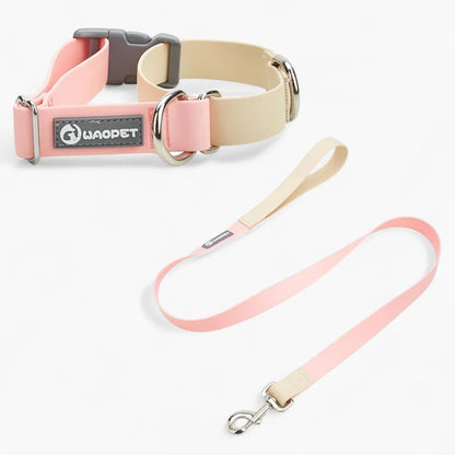AquaPaw-Dachshund-Collar-Leash-Set.jpg