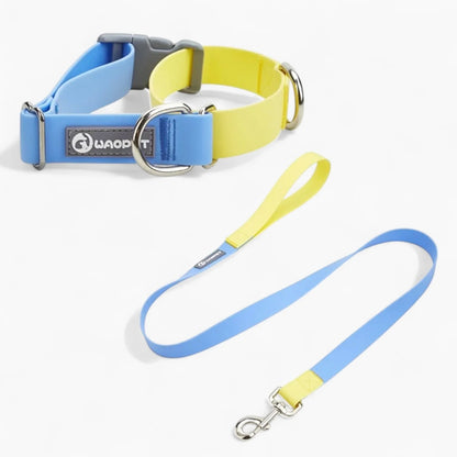 AquaPaw-Dachshund-Collar-Leash-Set.jpg