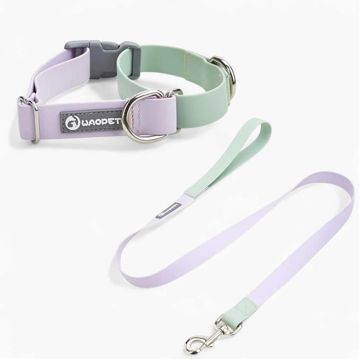 AquaPaw-Dachshund-Collar-Leash-Set.jpg