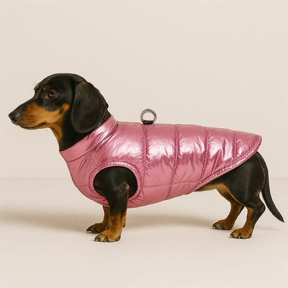 ArcticPup-Dachshund-Warm-Vest.jpg
