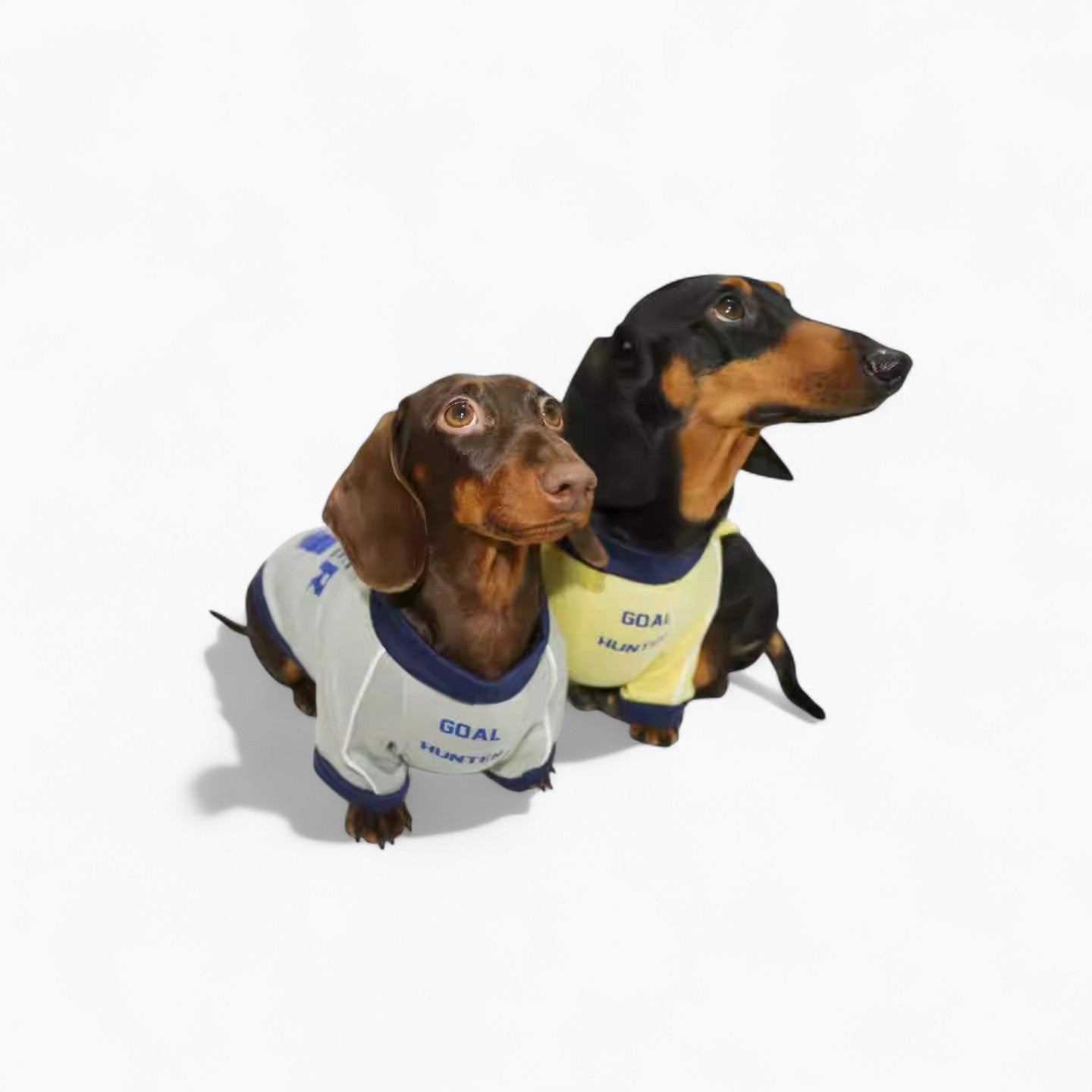 AthleDox-Dachshund-Athlete-T-Shirt.jpg