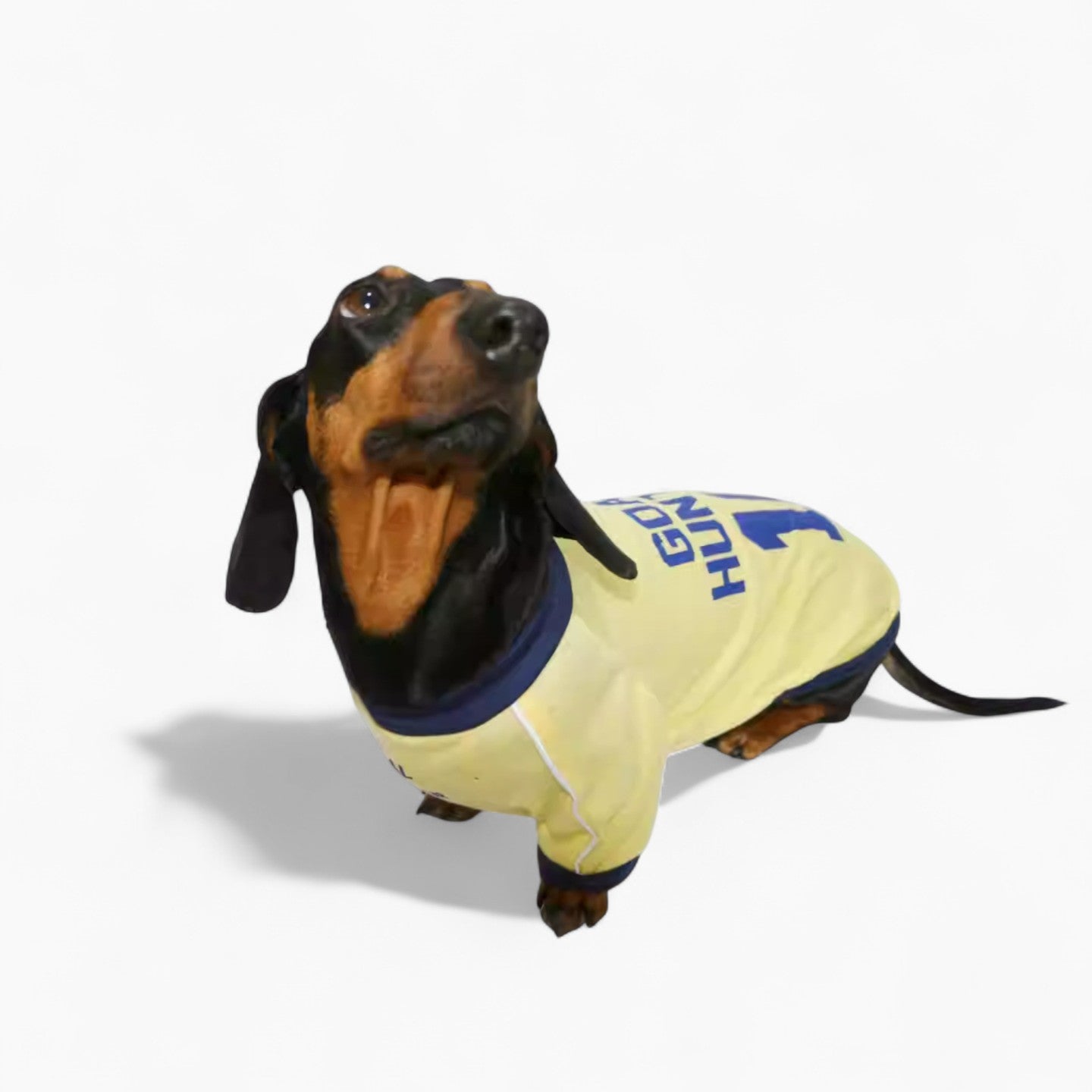 AthleDox-Dachshund-Athlete-T-Shirt.jpg