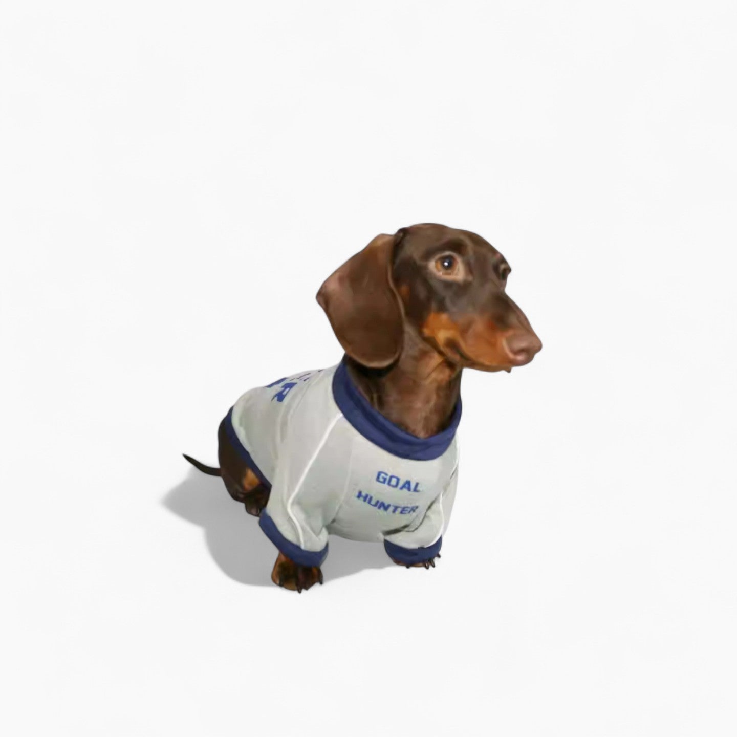 AthleDox-Dachshund-Athlete-T-Shirt.jpg