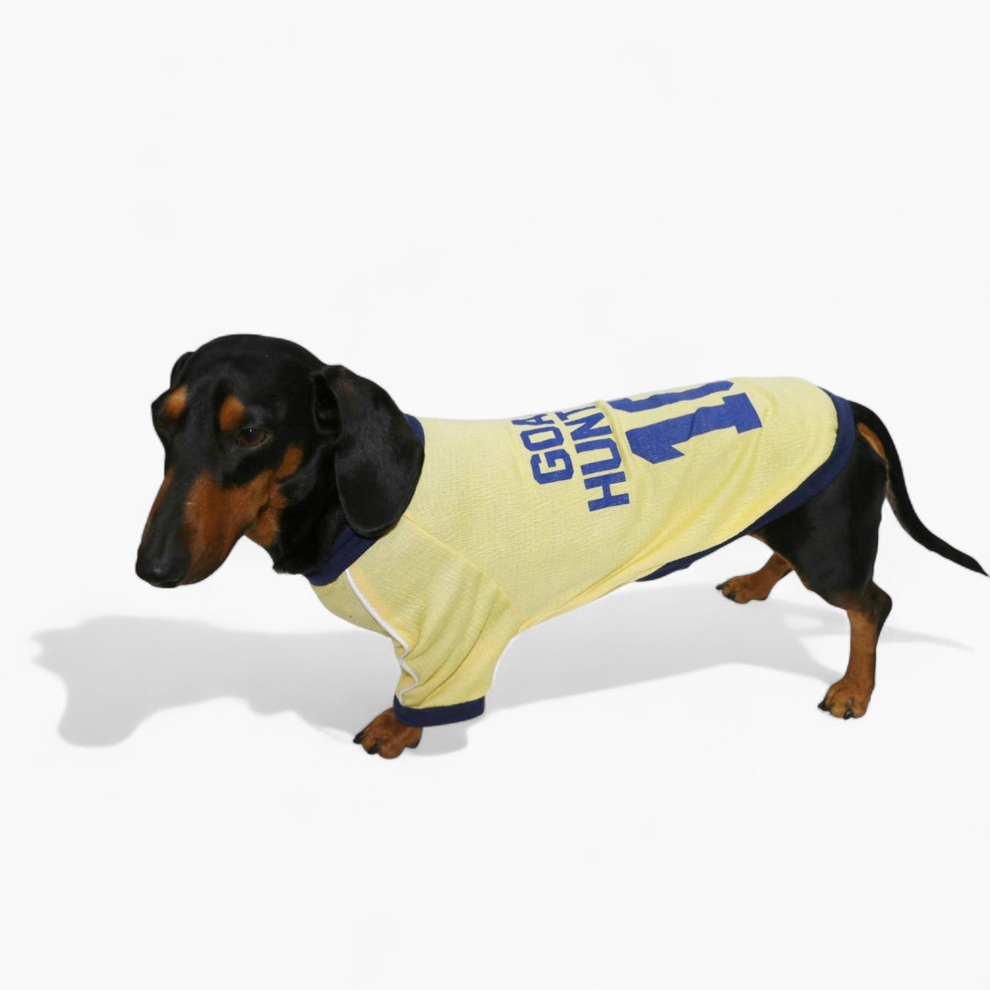 AthleDox-Dachshund-Athlete-T-Shirt.jpg