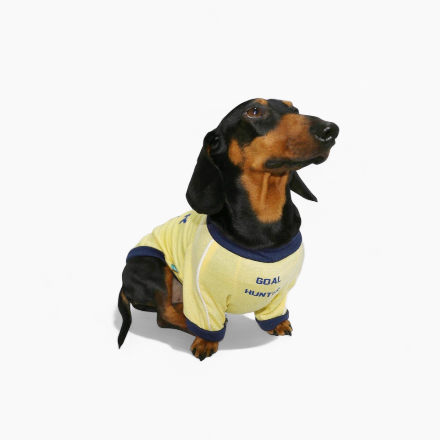 AthleDox-Dachshund-Athlete-T-Shirt.jpg